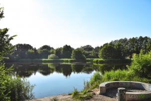 2014 Rostock MÃ¼hlenteichpark